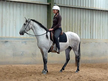 El Caballero Corazona