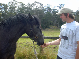 Corazon Morganna, PRE mare, with David