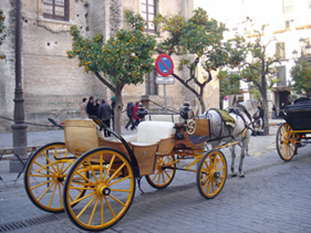 Horse drawn carriage at Sevilla Cathedral